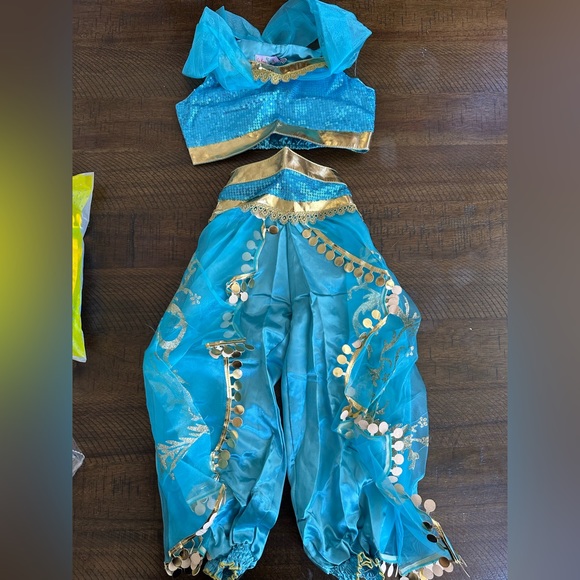 Jasmin Costume- - Picture 4 of 4